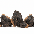 Agarwood