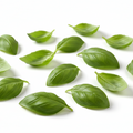 Basil
