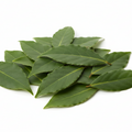 Bay Leaves