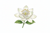 Bergamot Blossom