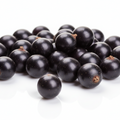 Black Currant