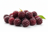 Boysenberry