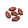 Cacao
