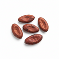 Cacao