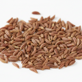 Caraway