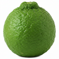 Bergamot