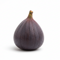 Fig