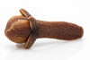 Clove