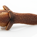 Clove