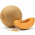 Melon