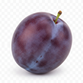 Plum