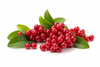Red Berries