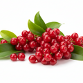 Red Berries