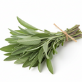Sage
