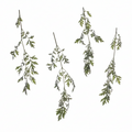 Artemisia