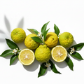 Yuzu